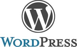 Nuevo curso: Construye una web profesional y gestiona contenidos digitales con wordpress