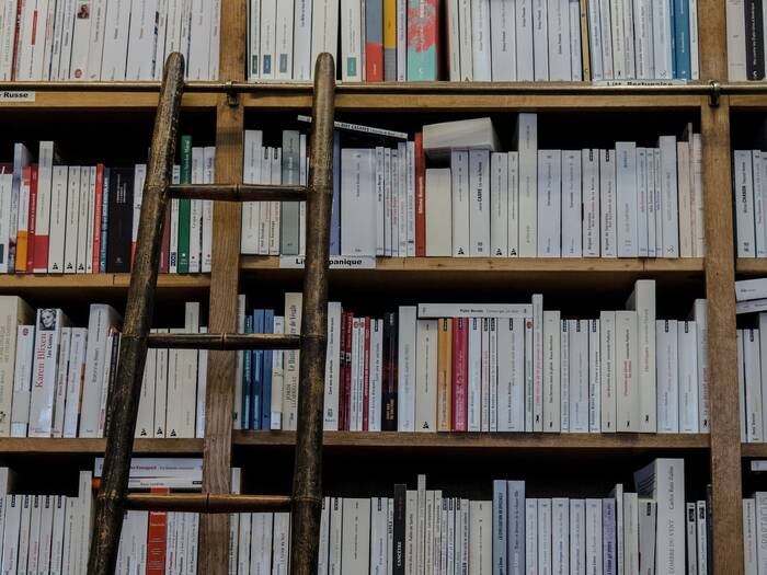 La literatura en la biblioteca: un recorrido por la narrativa del siglo XIX al XXI