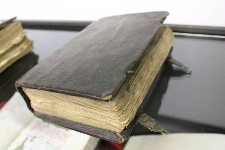 Conservación-Restauración: Primeros auxilios en Bibliotecas II