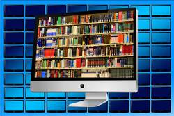 Los bibliotecarios y el libro electrónico… 2ª ed.